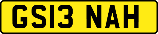GS13NAH