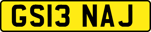 GS13NAJ
