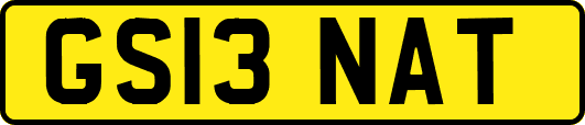 GS13NAT