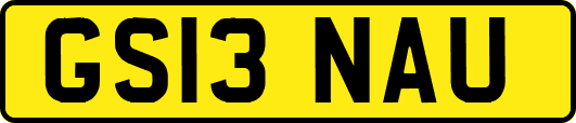 GS13NAU