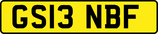 GS13NBF