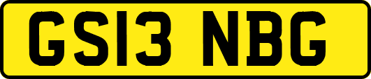 GS13NBG