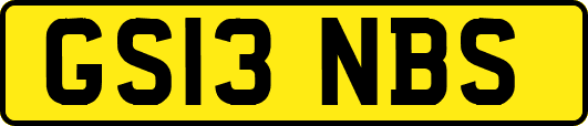 GS13NBS