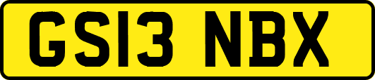 GS13NBX
