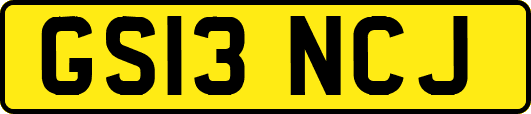 GS13NCJ
