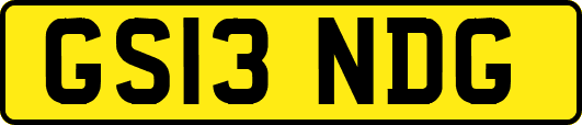 GS13NDG