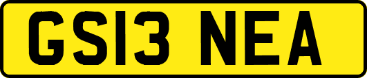 GS13NEA
