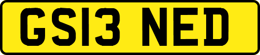 GS13NED