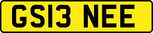 GS13NEE