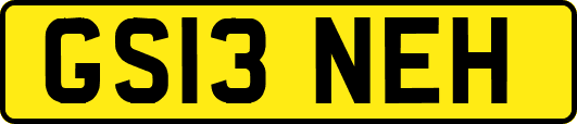 GS13NEH