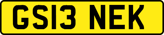 GS13NEK