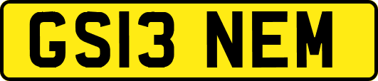 GS13NEM