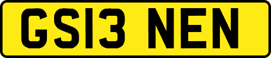 GS13NEN