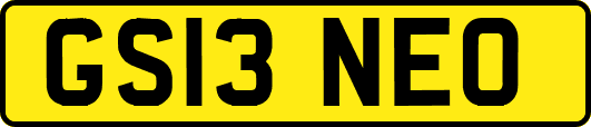 GS13NEO