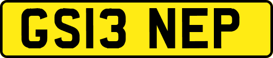 GS13NEP