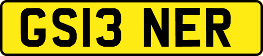 GS13NER