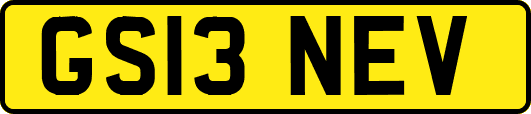 GS13NEV