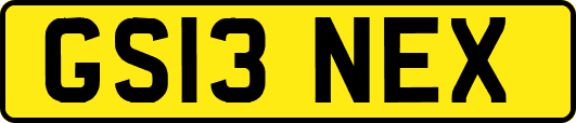 GS13NEX