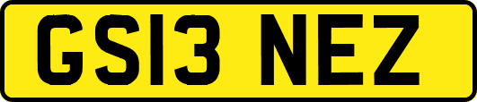 GS13NEZ