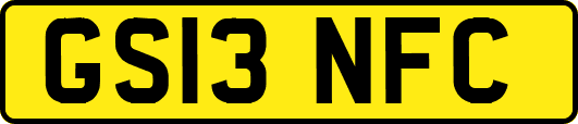 GS13NFC