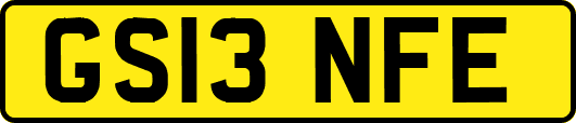 GS13NFE