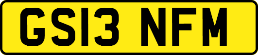 GS13NFM