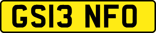 GS13NFO