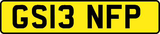 GS13NFP