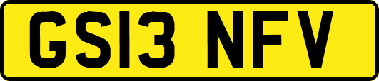 GS13NFV