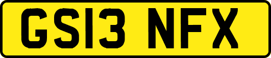 GS13NFX