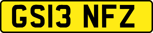 GS13NFZ
