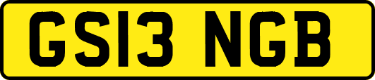 GS13NGB