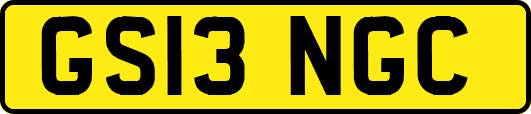 GS13NGC