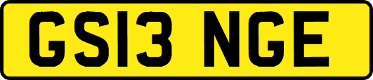 GS13NGE