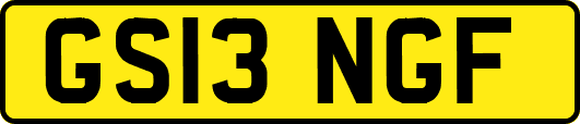 GS13NGF