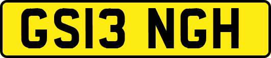 GS13NGH