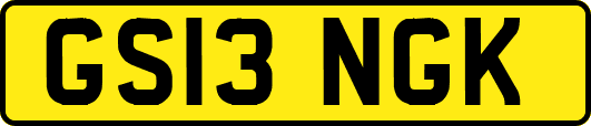 GS13NGK