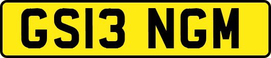 GS13NGM