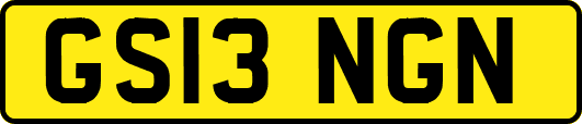 GS13NGN