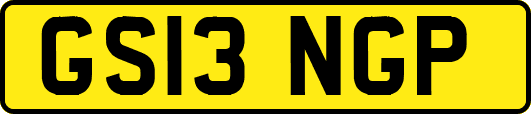 GS13NGP