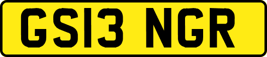 GS13NGR