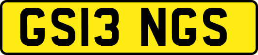 GS13NGS