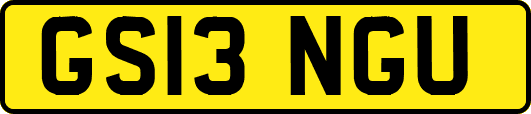 GS13NGU