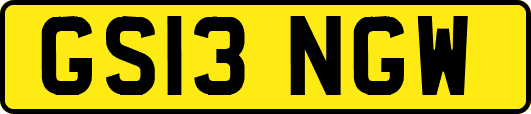 GS13NGW