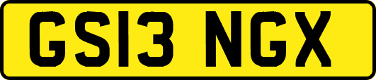GS13NGX