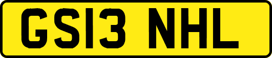 GS13NHL