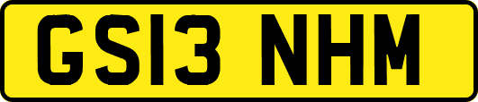 GS13NHM