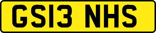 GS13NHS