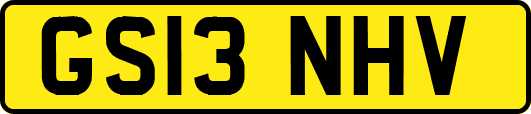 GS13NHV