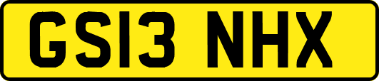 GS13NHX